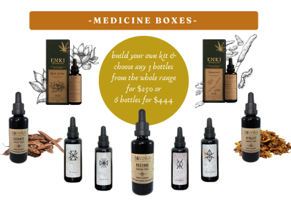 The Seeker Temple Tonic